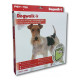 Dogwalk Intermediate Dog Door - Dual Glaze Dogwalk Intermediate Dog Door - Dual Glaze